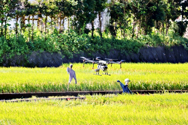 ドローンで使用できる農薬の種類と、散布前に確認しておきたい注意点
