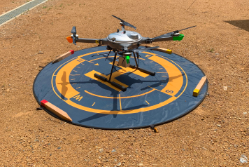 資格所有者が在籍