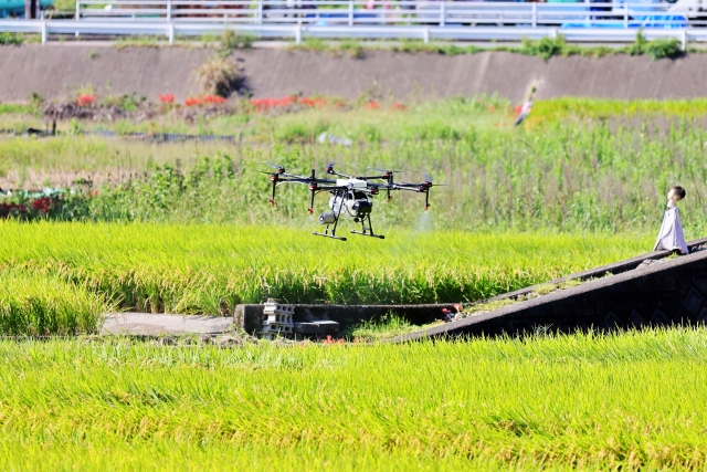 ドローンで除草剤散布はできる？メリットと注意点をわかりやすく解説